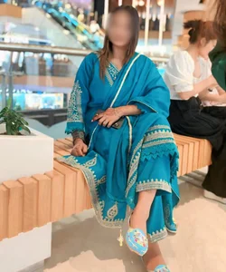 Call Girl Raipur Shalini